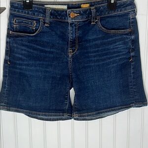 Anthro Pilcro STET Denim Shorts Size 28
